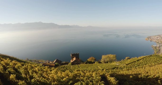 Drone lavaux vineyard  