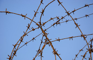 Fototapeta na wymiar Rusty barbed wire against blue sky. War and imprisonment concepts.
