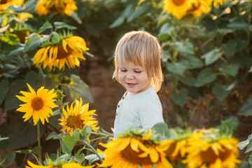 Little boy is playing in the field of sunflowers