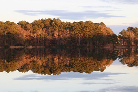 Forest reflecting in lake at sunset