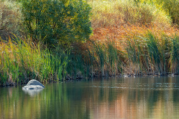Scenery in Washoe County, Nevada