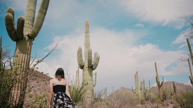 Slow motion cinematic low angle, young beautiful tourist woman in long dress walks among big Saguaro cactus desert field