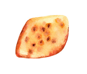 Watercolor hand drawn tasty pie
