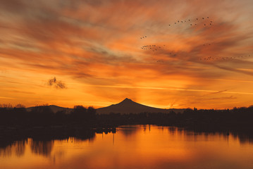 Birds flying at sunrise over river and mountain