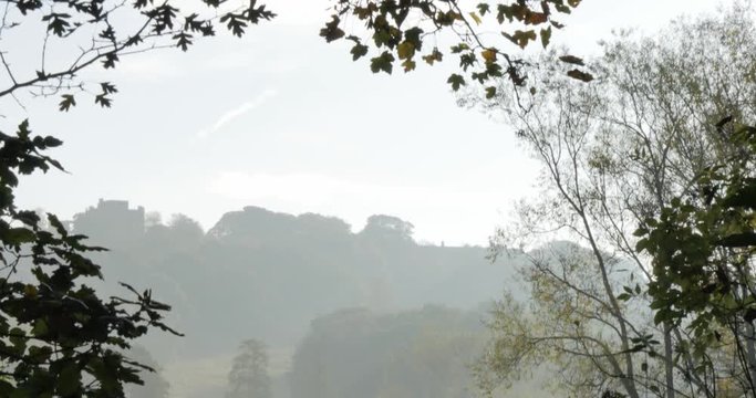 Autumn colors in Hardwick Park, Derbyshire, England, United Kingdom, Europe 