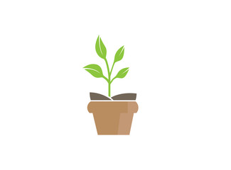 Plant in the Pot with some leaves for logo design