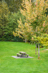 Picnic table and benches on green lawn in a park. Urban recreation area