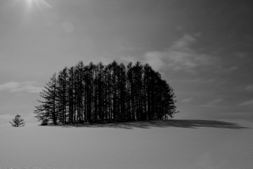 Hill of the Mild Seven