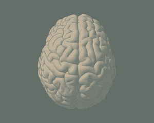 Engraving brain illustration with vintage color style