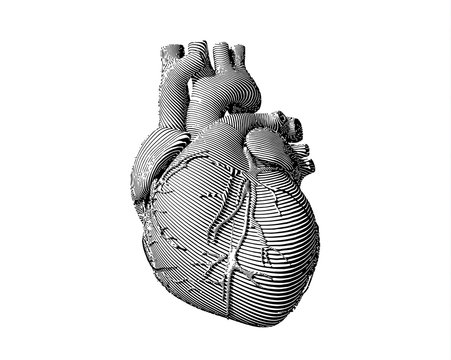 Engraving human heart illustration with black and white color