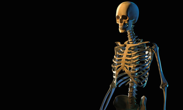 Skeleton structure 3d render isolated on black