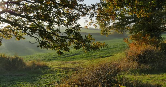 Autumn colors near Hardwick Park, Derbyshire, England, United Kingdom, Europe  