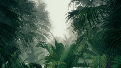 In The Jungle Palms motion footage for adventure  films and cinematic in jungle scene. Also good background for scene and titles, logos.