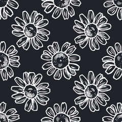 Seamless pattern with hand drawn chalk chamomile