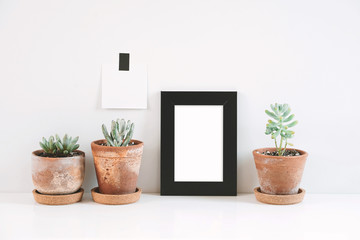 Succulents or cactus in clay pots over white background on the shelf and mock up frame photo.