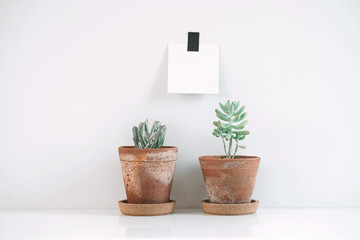 Scandinavian hipster interior design. Note papers on the wall with succulent or cactus.