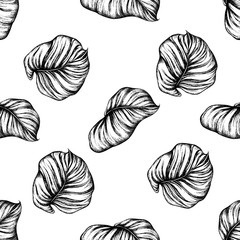 Seamless pattern with black and white philodendron, calathea