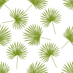 Seamless pattern with hand drawn pastel trachycarpus