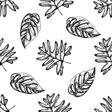 Seamless pattern with black and white philodendron