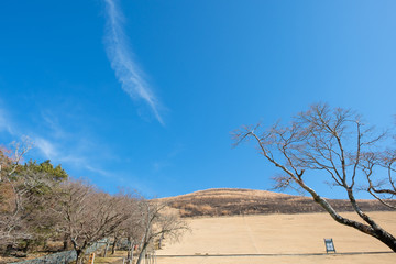 山焼き後の若草山　閉山中　奈良公園