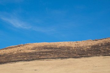 山焼き後の若草山　閉山中　奈良公園
