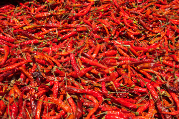 Fototapeta premium Chilis on Display