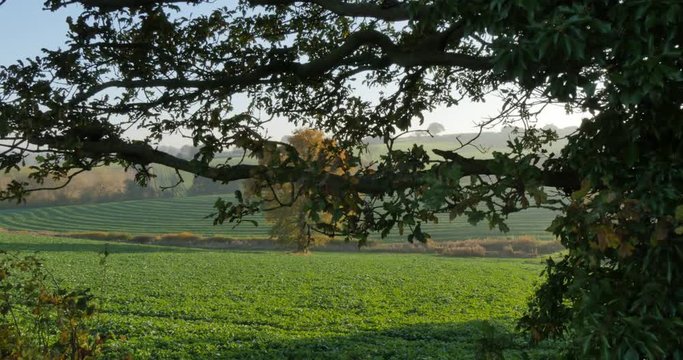 Autumn colors near Hardwick Park, Derbyshire, England, United Kingdom, Europe  