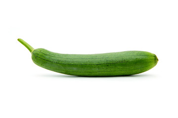 Sponge gourd, Smooth loofah, Vegetable sponge, Gourd towel.  ( Luffa cylindrica (L) M.Roem ). is...