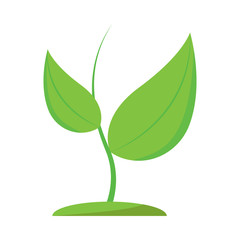 isolated school object