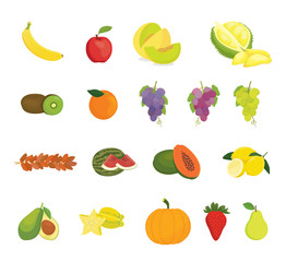 fruit collection with various kind of fruits and color variant - vector