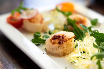 Close-up of grilled seared fresh scallops served as appetizer