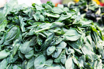 Obraz premium Dau Miu or snow pea sprout is available during winter