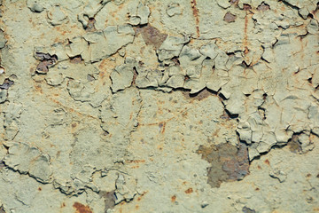 Peeling Paint 1