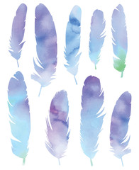 Vector watercolor feathers set