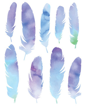 Vector Watercolor Feathers Set