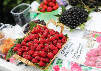 basket of raspberries