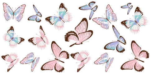 Fototapeta premium beautiful pink butterflies, isolated on a white
