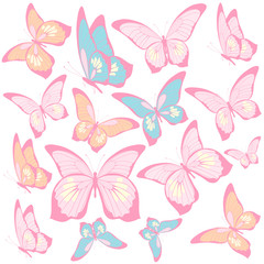 beautiful pink butterflies, isolated  on a white