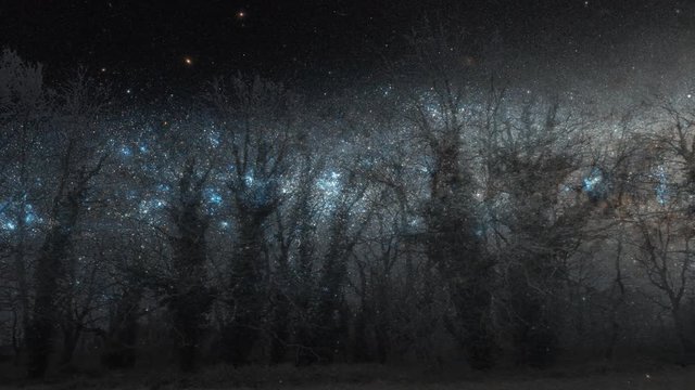 Panning of a night forest with milky way background, trippy, psychedelic, dreamy, 4k