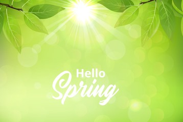 Spring background with green leaves 
