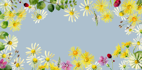 Rectangular frame of wild watercolor flowers. For greetings and invitations