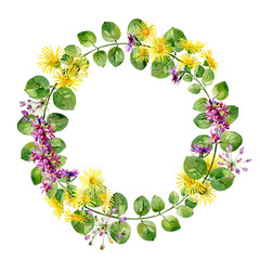 Round frame of leaves and wild flowers on a white background. For greetings and invitations