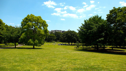 KOKUBUNJI,  TOKYO,  JAPAN - CIRCA JUNE 2018 : Scenery of MUSASHIKOKUBUNJI PARK in hot summer sunny day.