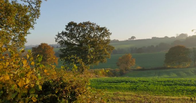 Autumn colors near Hardwick Park, Derbyshire, England, United Kingdom, Europe  