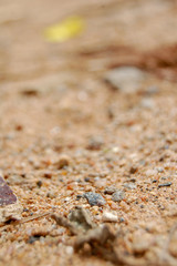 sand