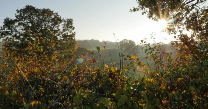 Autumn colors near Hardwick Park, Derbyshire, England, United Kingdom, Europe  