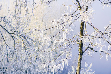 Winter landscape in the city