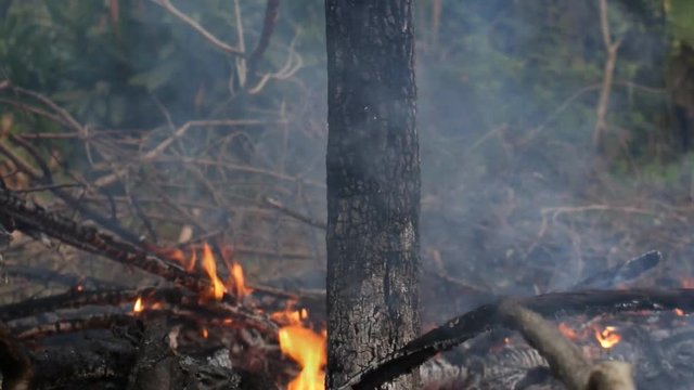 Heat ash and smoke from bornfire. Heat accumulated with global warming.  Or we are the cause of this problem