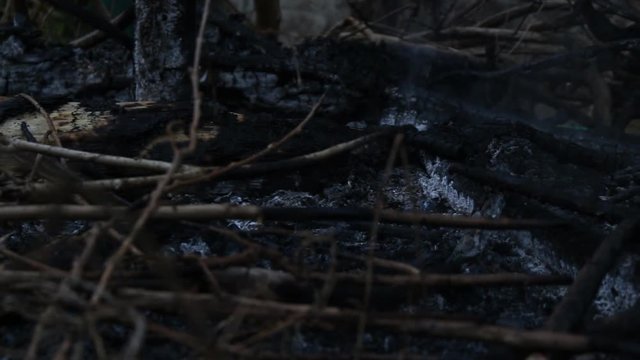 Heat ash and smoke from bornfire. Heat accumulated with global warming.  Or we are the cause of this problem