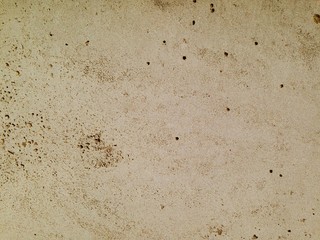 wall of natural stone travertine marble